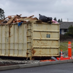 fr0ggy5-JYXJUF3r3ms-unsplash