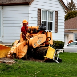 richard-burlton-JfCPpgux6v0-unsplash